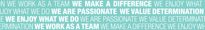 Michael Page values